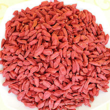 Wholesale Health Dehydrated Fruit Goji Berry Lycium chinensis